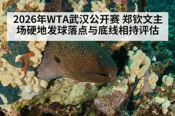 2026年WTA武汉公开赛 郑钦文主场硬地发球落点与底线相持评估