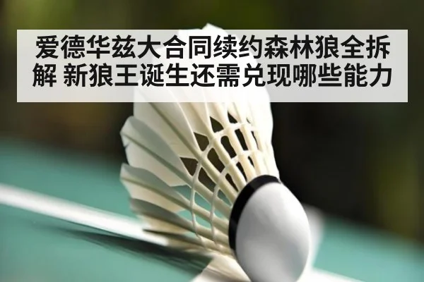 爱德华兹大合同续约森林狼全拆解 新狼王诞生还需兑现哪些能力